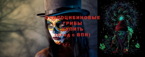 spice Абинск