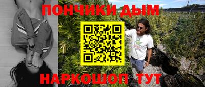 индика Пенза