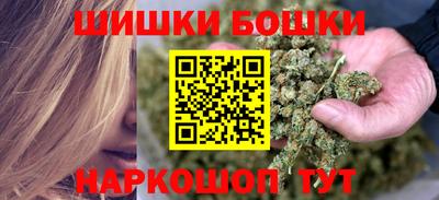 индика Пенза