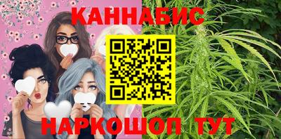 индика Пенза