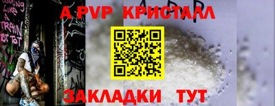 индика Пенза