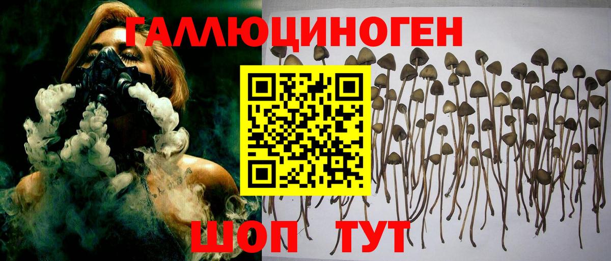 Псилоцибиновые грибы прущие грибы  Вход с VPN  Шарыпово  Галлюциногенные грибы мицелий 