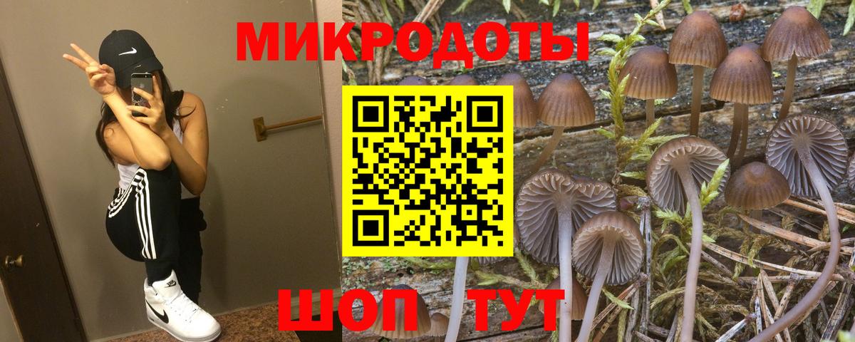 Галлюциногенные грибы Psilocybe Шарыпово